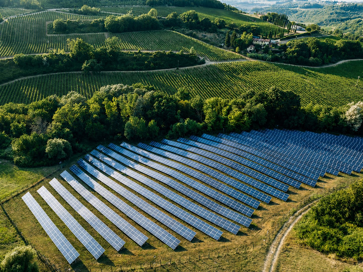Aerial view of a community-scale solar array set among green farmland and vineyards